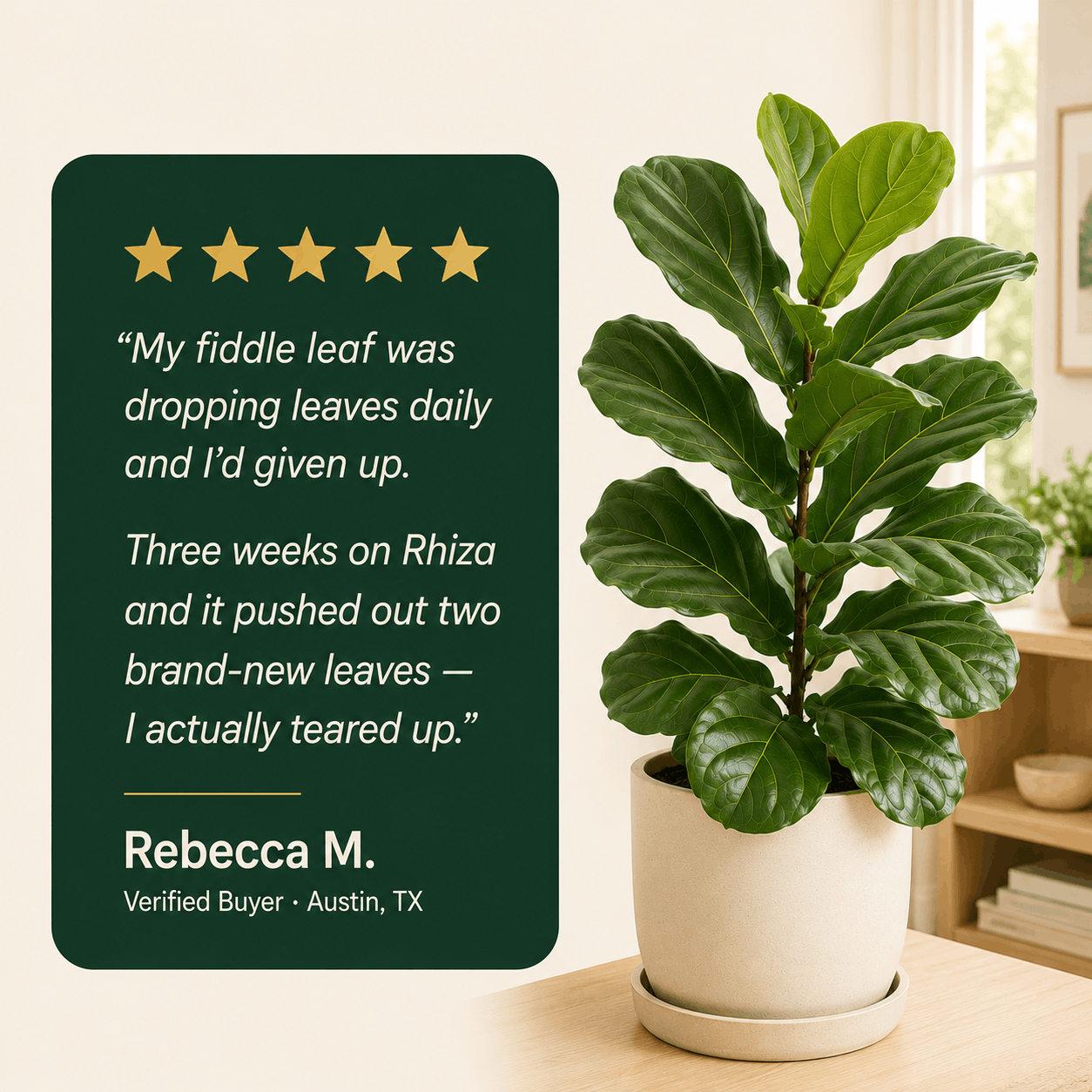 Root Rescue: Probiotic Root Rot Drops for Houseplants | Rhiza