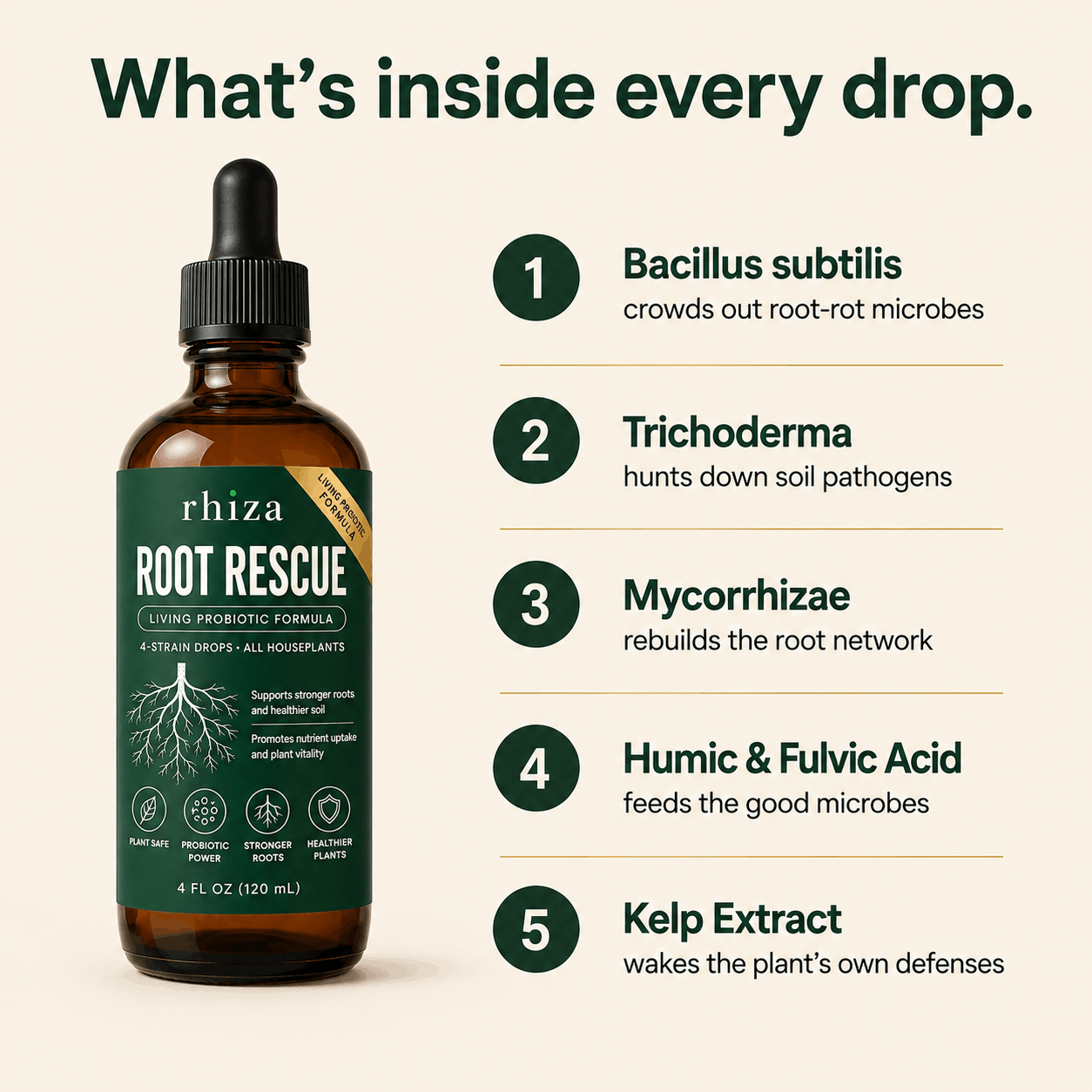 Root Rescue: Probiotic Root Rot Drops for Houseplants | Rhiza