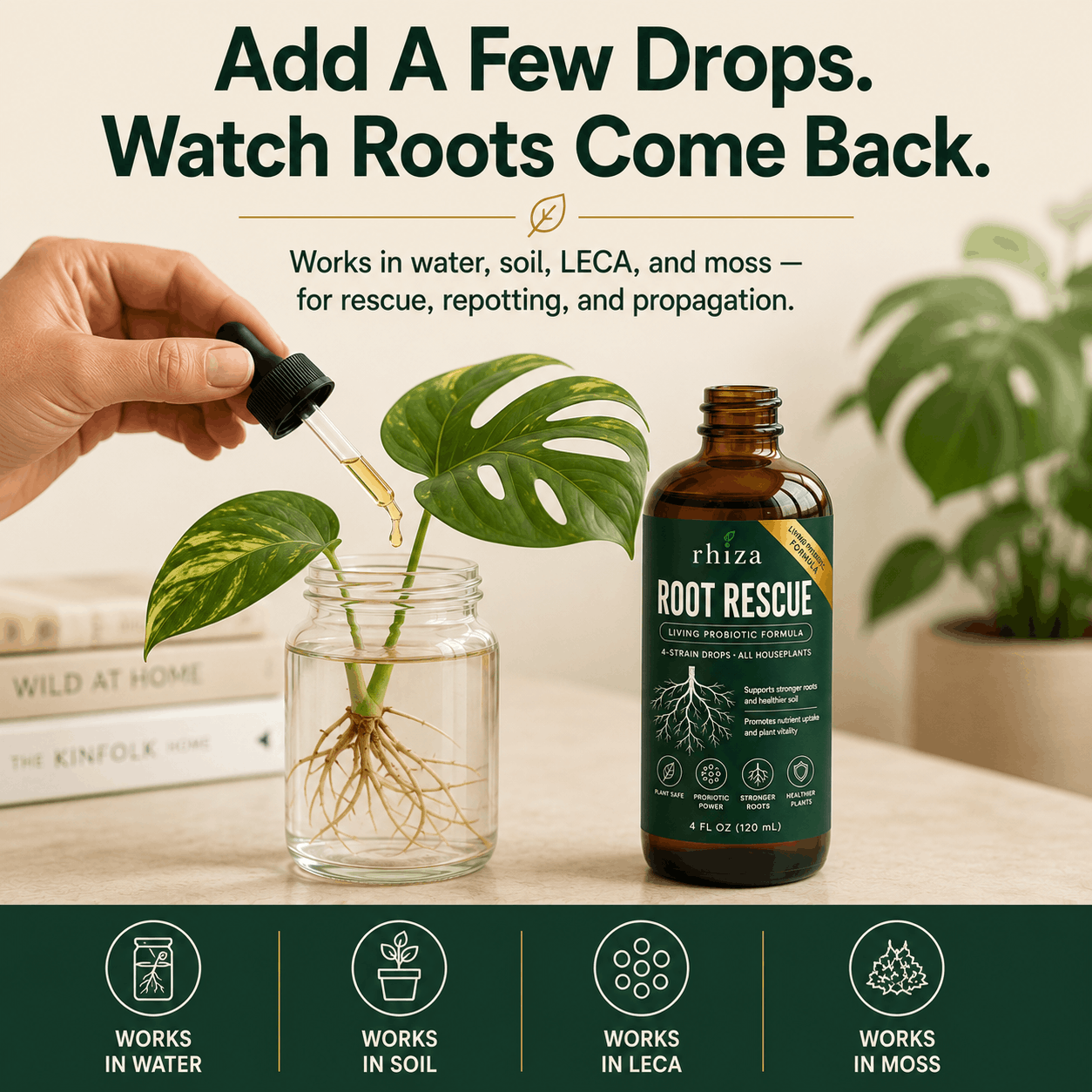 Root Rescue: Probiotic Root Rot Drops for Houseplants | Rhiza