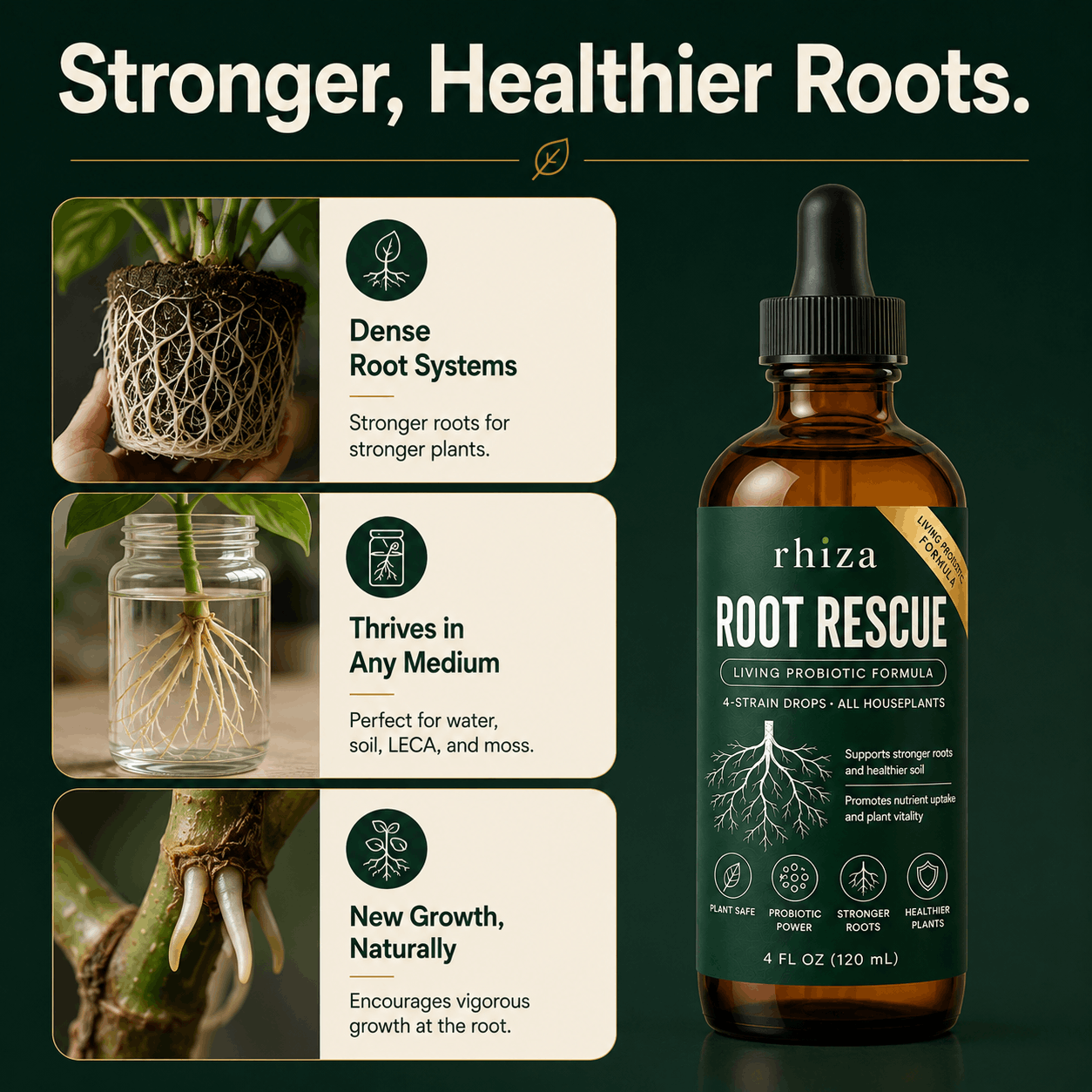 Root Rescue: Probiotic Root Rot Drops for Houseplants | Rhiza
